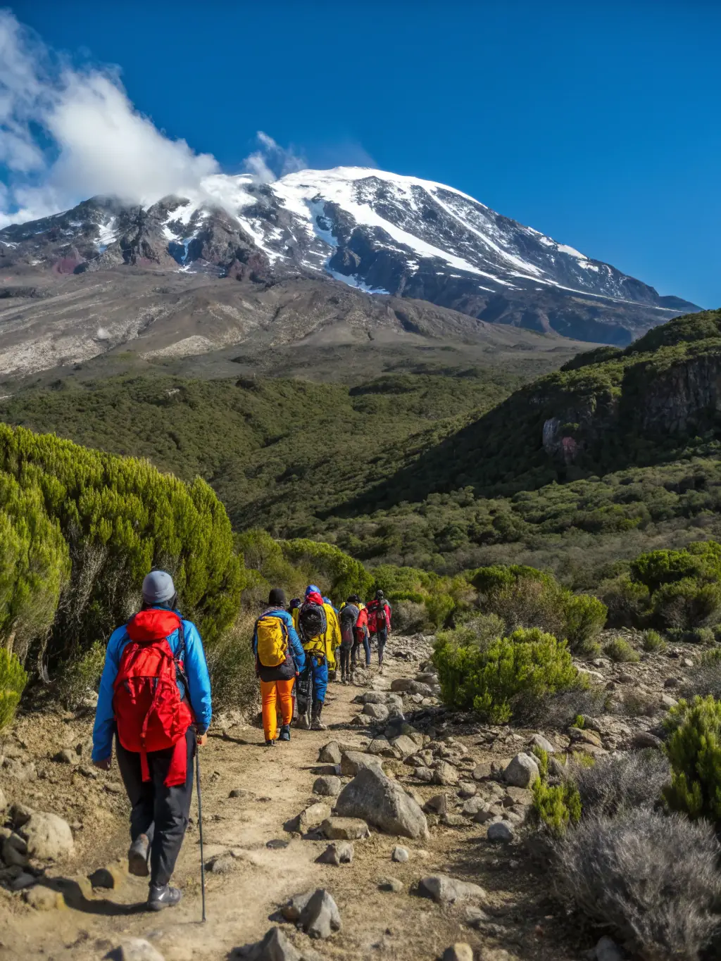 A group of people hiking up a mountain trail, surrounded by lush greenery, representing the hiking program offered by ADO Les Araignées de l'Ouest.